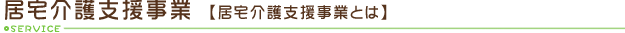 居宅介護支援事業とは