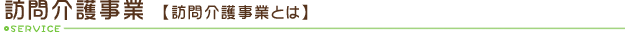 訪問介護支援事業とは