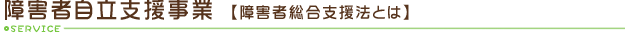 障害者自立支援法とは