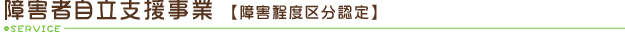 障害程度区分認定